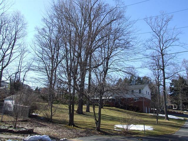 DSCF1900.JPG