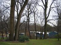 Backyard_Original_Trees_18.jpg