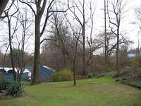 Backyard_Original_Trees_19.jpg