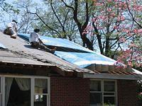 Tarp City