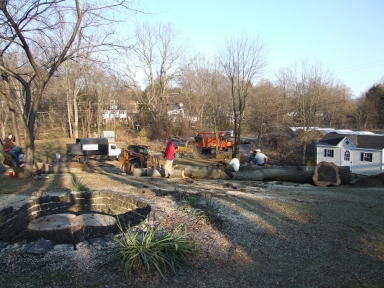 Trees Cut Down